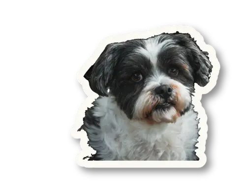 Bob the dog cutout tilting his head